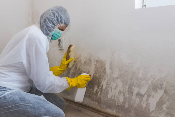 Best Water Damage Restoration  in Bromley, KY