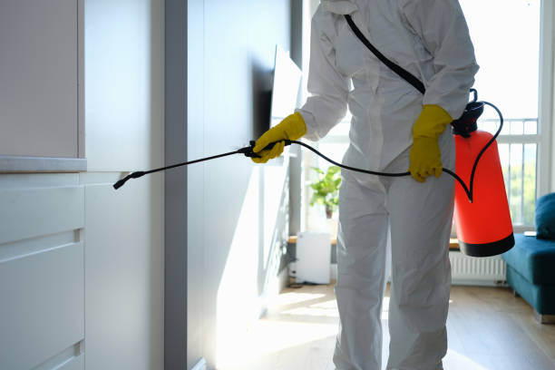 Best Commercial Mold Removal  in Bromley, KY