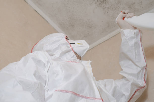 Water Damage Restoration in Bromley, KY